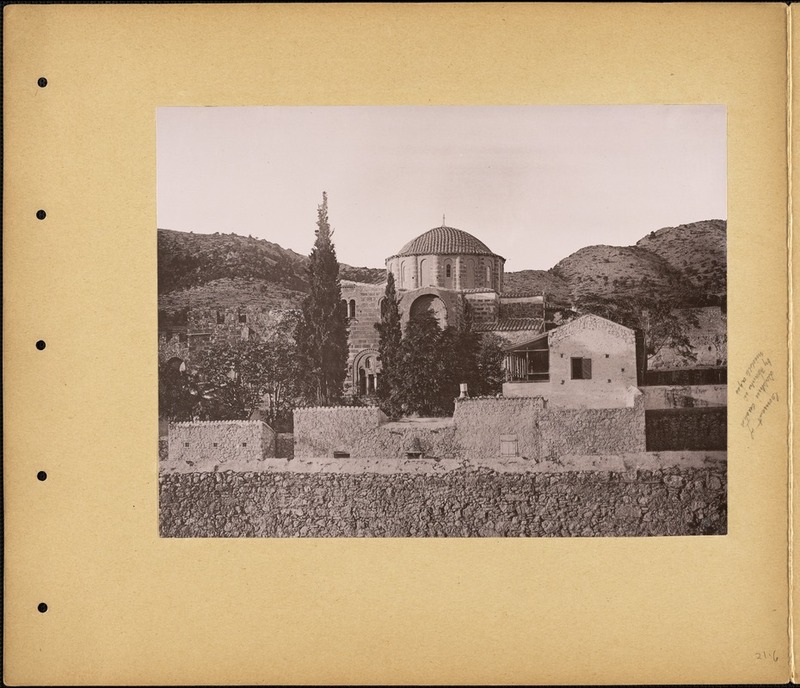 Col-0000-183 #2.jpg Col-0000-183 #2.jpg